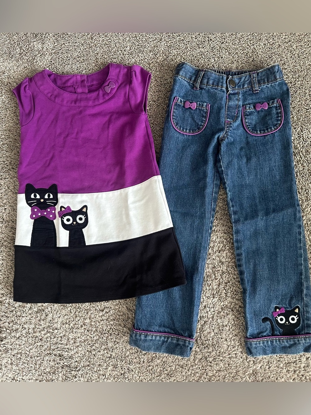 Gymboree 2pc Purrrfectly fabulous sz5T set